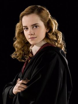 Hermione Hair  Thoughts from the Test Chamber