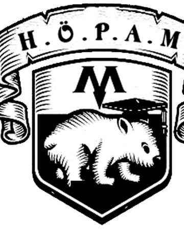 hogwarts dersleri magicverse role