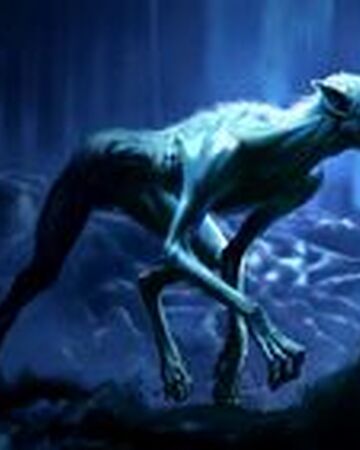 magicverse wiki fandom