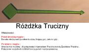 Różdżka Trucizny