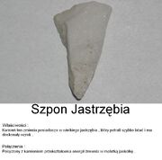 Szpon Jastrzębia