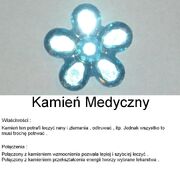 Kamień Medyczny