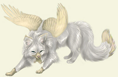 Cat shop with wings
