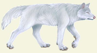 Item:Web Camera, White Wolf Wiki