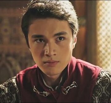 pix Mehmed Iii Actor sehzade mehmed magnificent century
