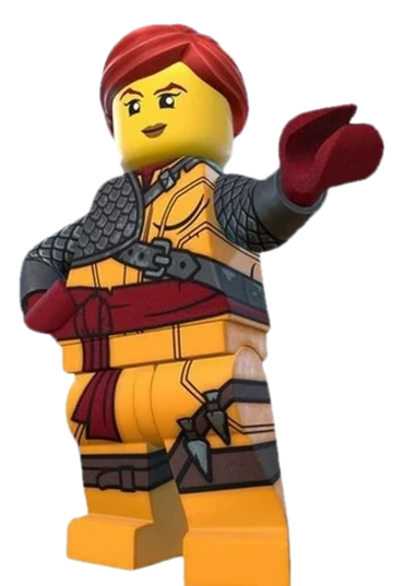 Skylor deals ninjago costume