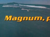 Magnum, P.I. (1980)