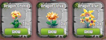 Dragon plants