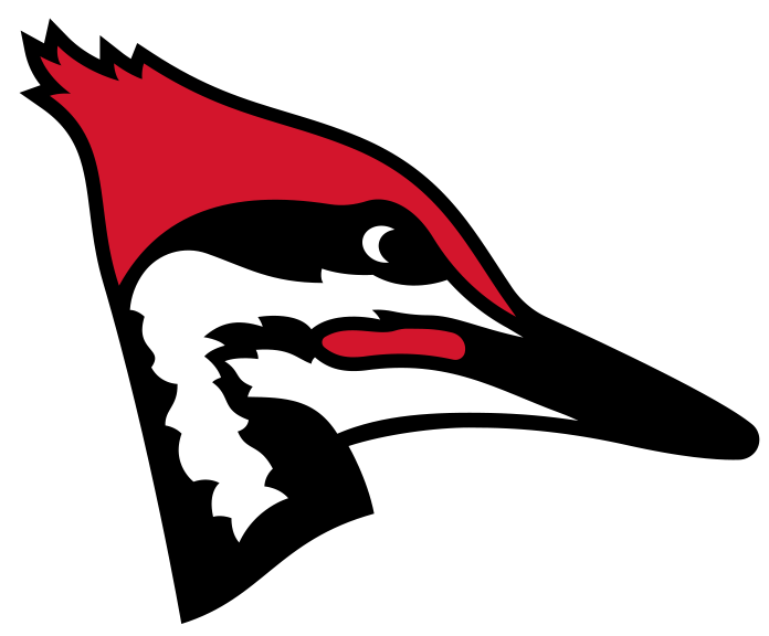 Windom Woodpeckers | Minnesota Amateur Hockey League Wiki | Fandom