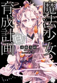 Volume 13-LN-Cover