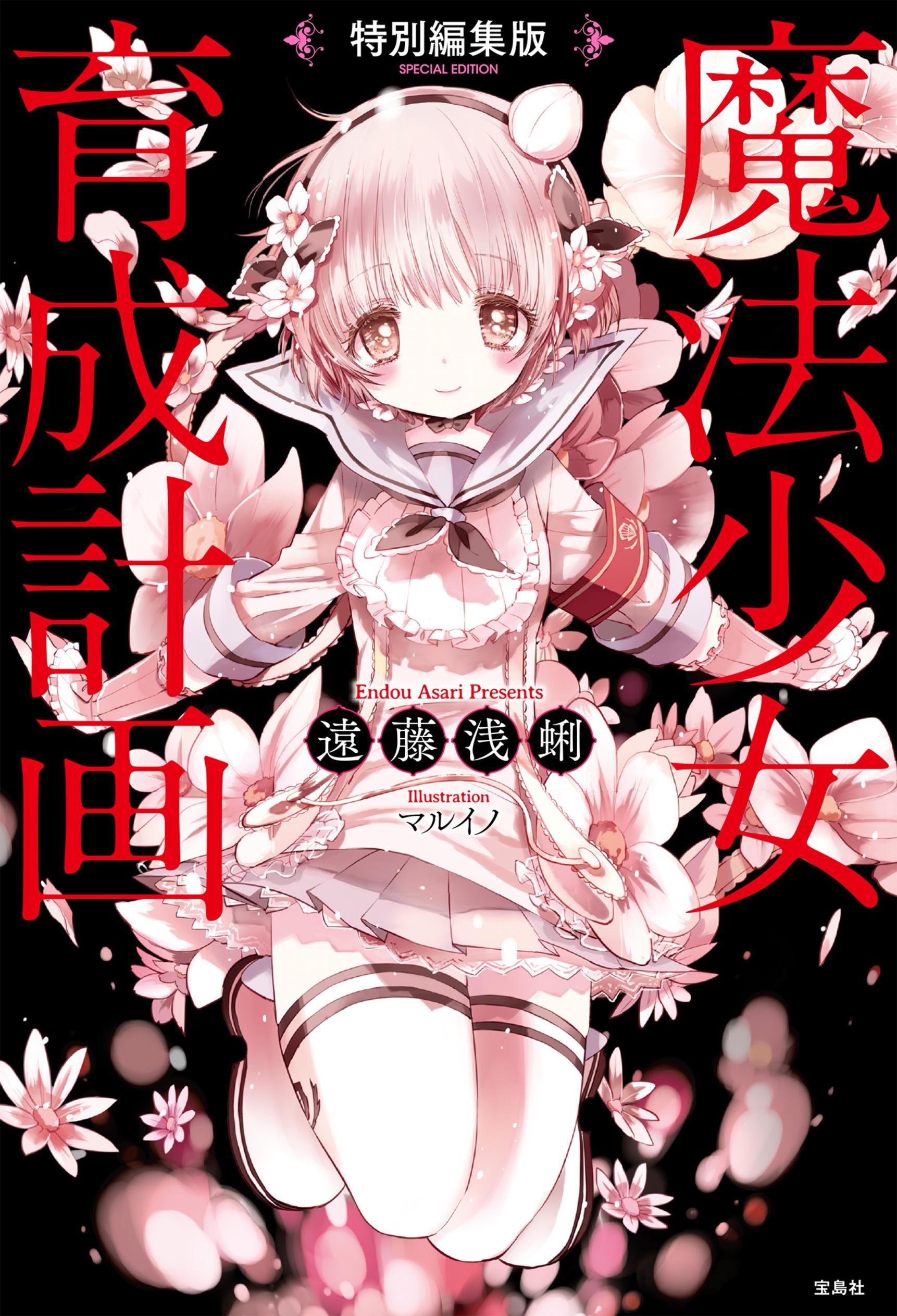 Mahou Shoujo Ikusei Keikaku - Mahou Shoujo Ikusei Keikaku - End Art