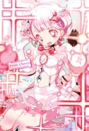 Inner Cover - Prism Cherry
