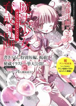 3681 Magical Girl Raising Project Mahou Shoujo Ikusei Keikaku Poster Scroll