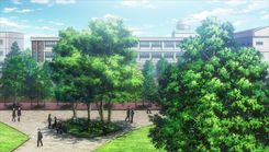 Koyuki's school