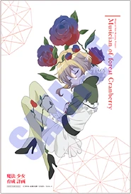 DREAMCATCHER - Cranberry