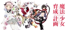 Anime Banner 1