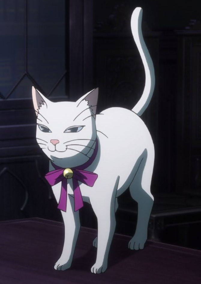 The Sorting Cats [Mahoutsukai no Yome/ Ancient Magus' Bride season