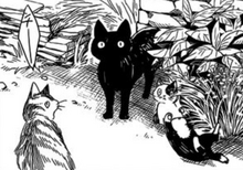 Cats.png
