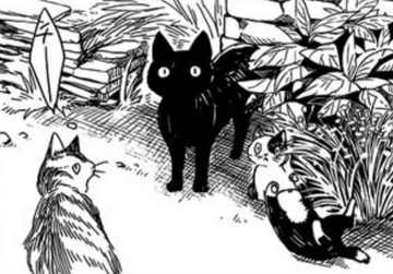 The Sorting Cats [Mahoutsukai no Yome/ Ancient Magus' Bride season