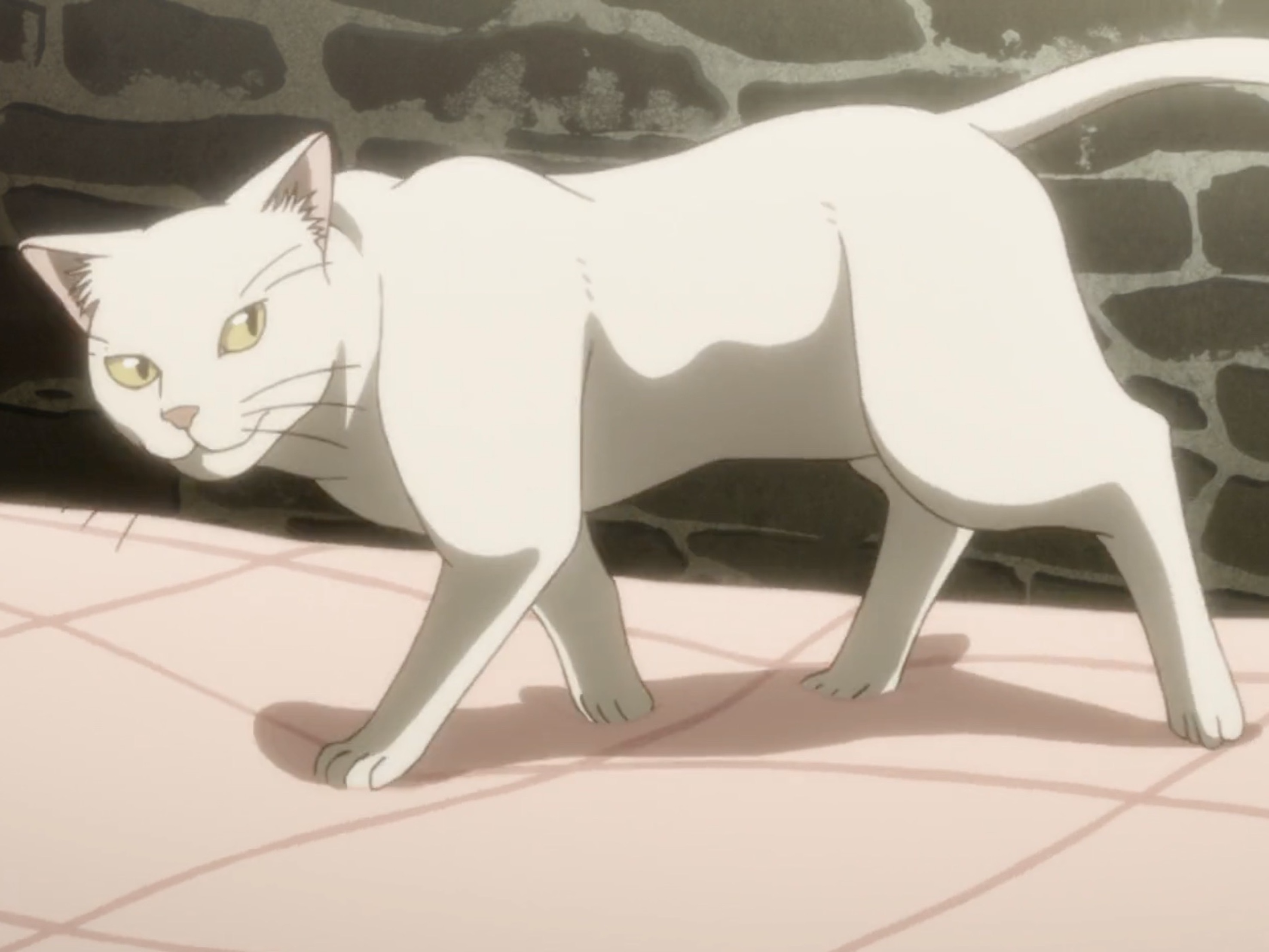 The Sorting Cats [Mahoutsukai no Yome/ Ancient Magus' Bride season 2] :  r/anime