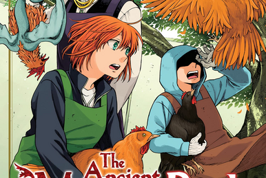 The Ancient Magus' Bride (Mahoutsukai no Yome) 17 – Japanese Book Store