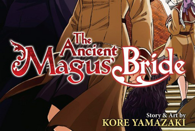 Mahou Tsukai no Yome manga Volume 9 cover  Anime, Personagens de anime,  Cabelo de anime