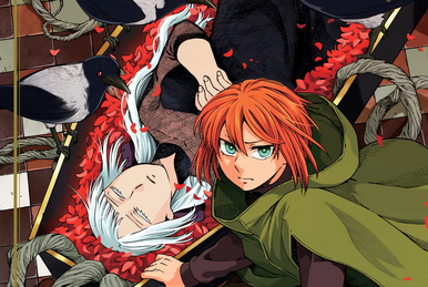 The Ancient Magus Bride Manga Volume 13