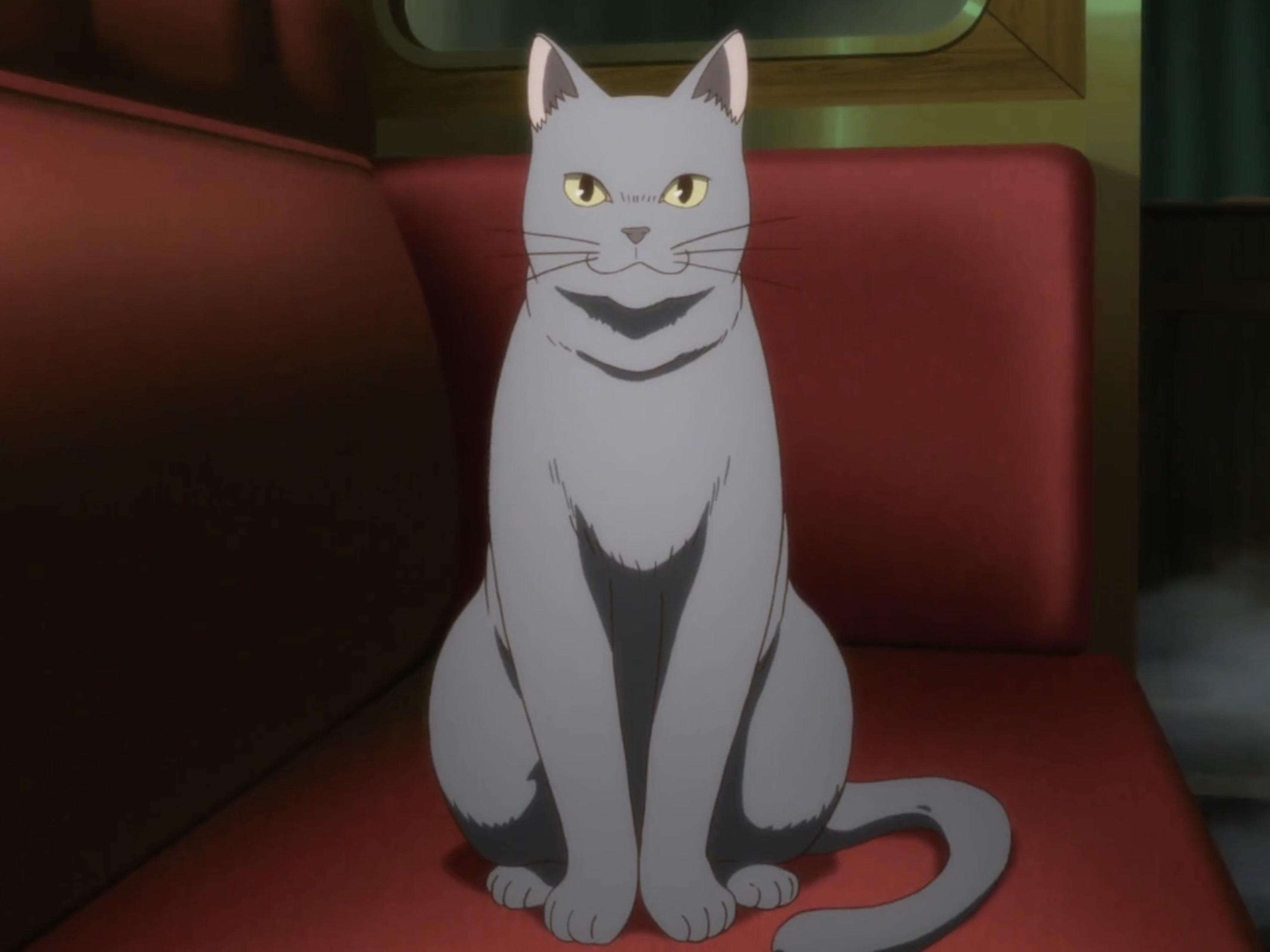 The Sorting Cats [Mahoutsukai no Yome/ Ancient Magus' Bride season 2] :  r/anime
