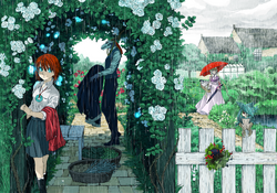 Mahou Tsukai No Yome (2014) n° 19/Mag Garden