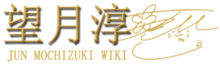 Jun Mochizuki Wiki