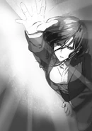 Page 289 Illustration