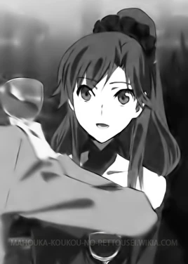 Light Novel