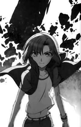 Light Novel