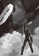 Page 249 Illustration