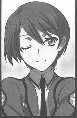 Light Novel