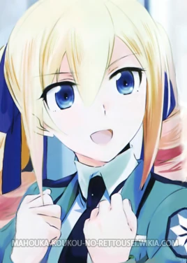 Light Novel