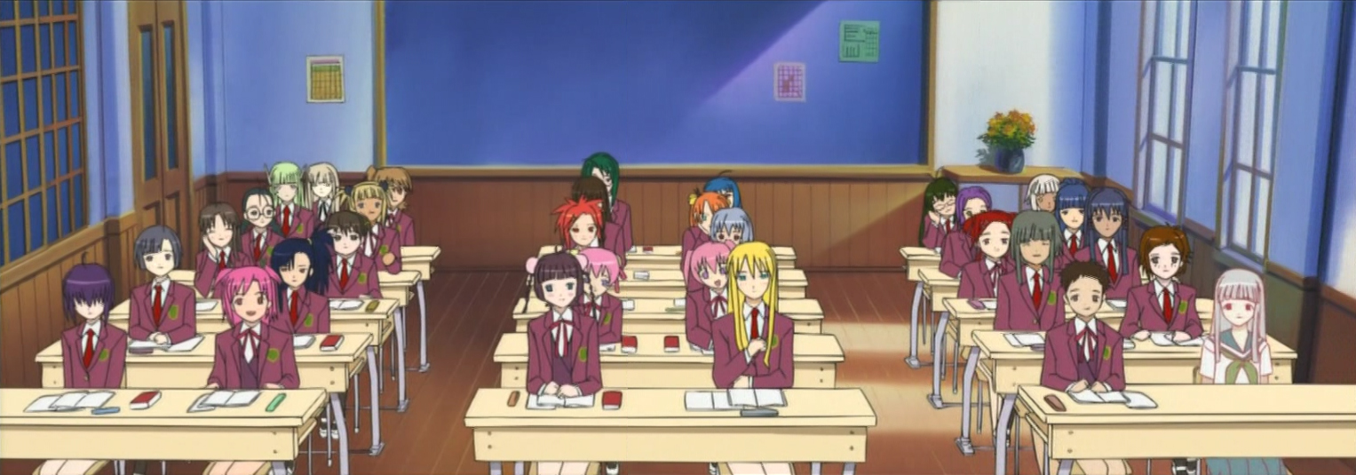 Japanese School System  Negima Wiki  Fandom