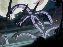 K ＭＡＩＨＩＭＥ Maihime | Hokuto Renkitōza | Fandom