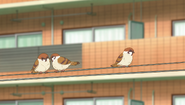 S2E17 Birds