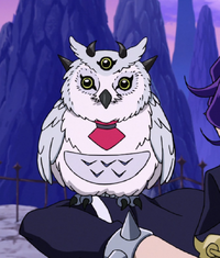 Ranking Owl