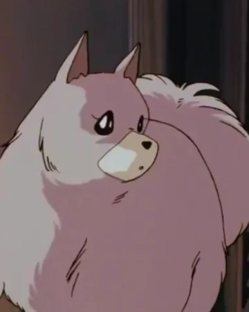 Salad Maison Ikkoku Wiki Fandom