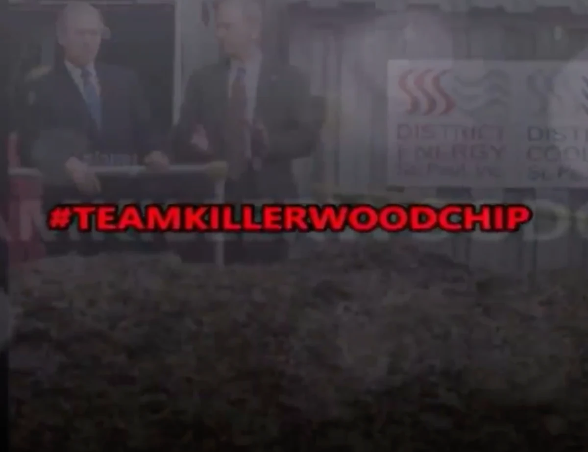 The Head of the House Maizepedia Wiki Fandom