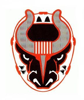 Birmingham Bulls Hockey