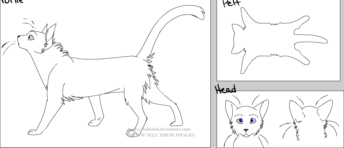 Picture Gallery | WarriorCat Creations | Fandom