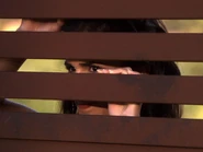 Partybounds.jpg (22 KB)