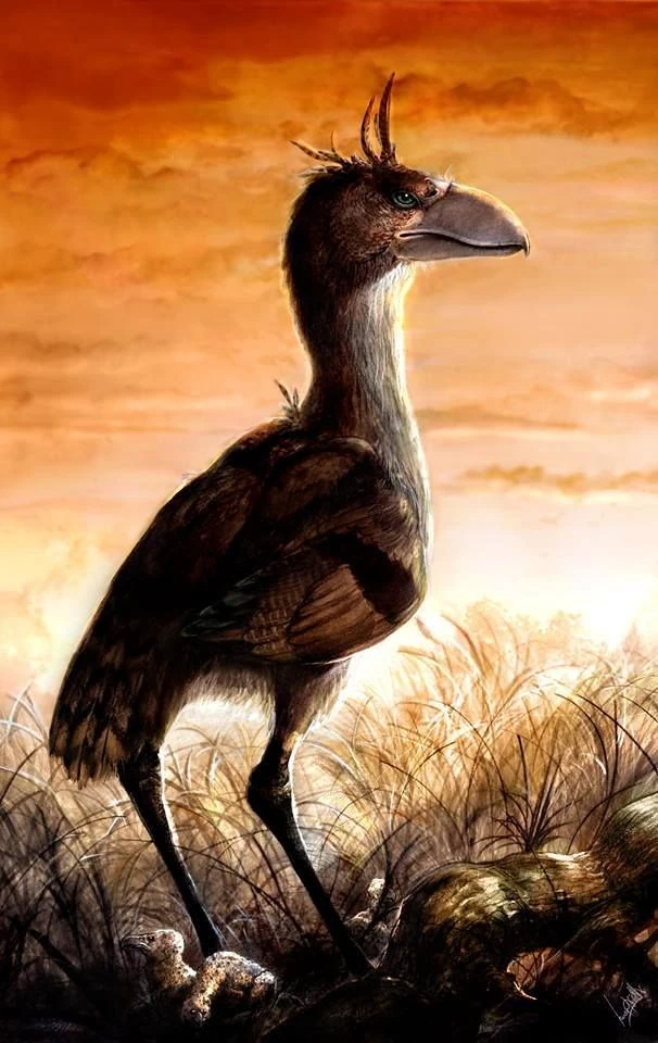 Llallawavis Maker Scratchpad YouTube Wiki Fandom