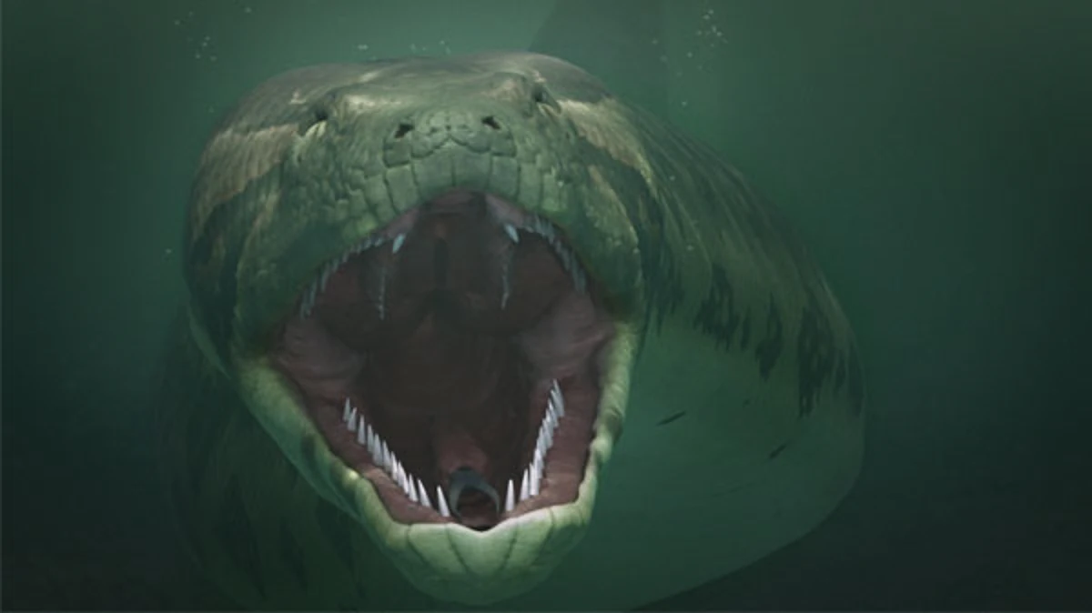 Titanoboa Maker Scratchpad YouTube Wiki Fandom
