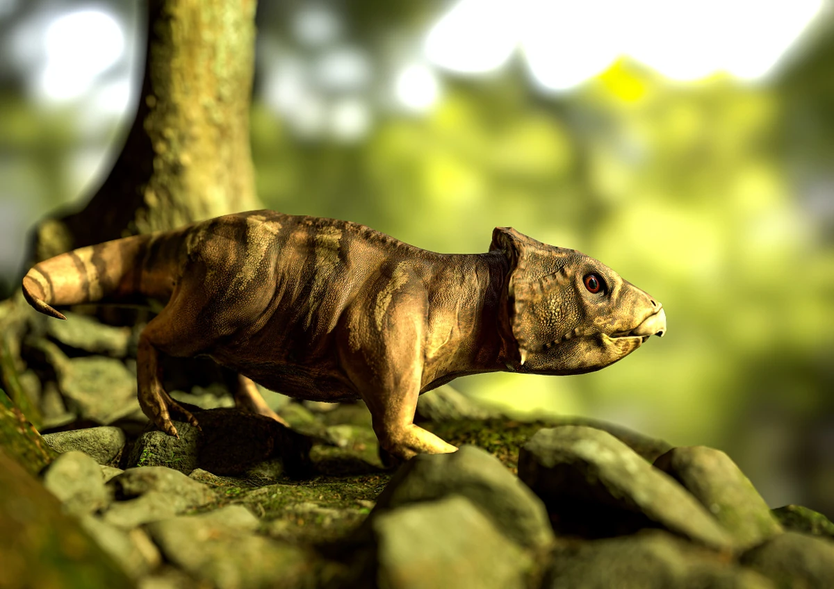 Leptoceratops Maker Scratchpad YouTube Wiki Fandom