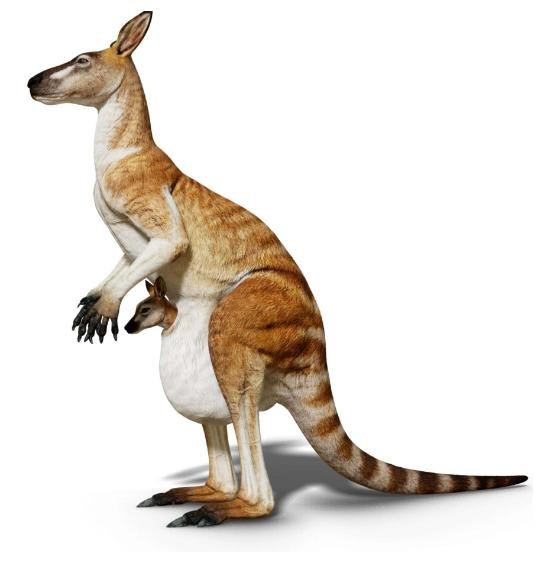 Macropus titan Maker Scratchpad YouTube Wiki Fandom