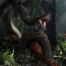 madtsoia vs titanoboa